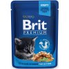 Kapsička Brit Cat Premium Pouches kuracie kúsky pre mačiatka 100 g