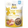 Brit RAW Treat Cat Hair&Skin 40 g