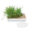 Trixie Tráva pre mačku v miske 100g