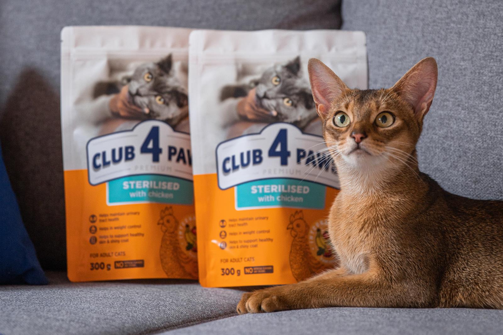 Změna krmiva po kastraci: mýtus, nebo nutnost?