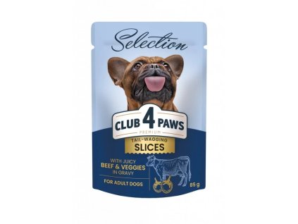 1194 dog slices beef veggies