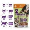 BALENÍ 12x85g 2FRIENDS S RYBOU V OMÁČCE PRO KOČKY