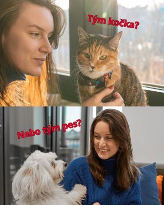 Tým kočka 🐱 nebo tým pes 🐶 ? A proč právě ten váš? #petclubcz #krmivo #kocka #pes #domacimazlicek