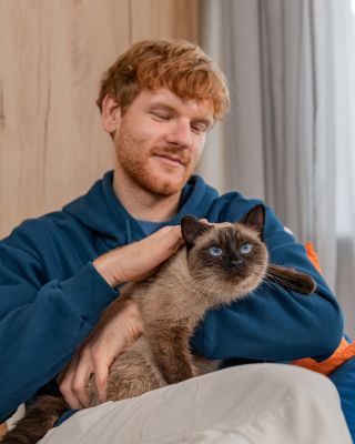 JAK SPRÁVNĚ PEČOVAT O KOČIČÍ SRST? 😻 Základ je pravidelné vyčesávání, kvalitní strava a sledování změn na kůži nebo srsti....