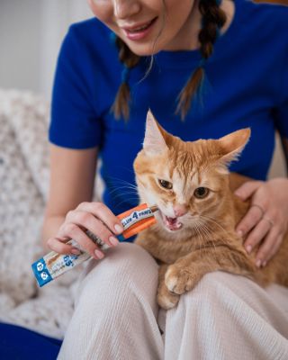 Přihoďte i dnes své kočičí společnici do košíku něco extra dobrého 👉 ocení je i ten nejmlsnější jazýček. 😻 PetClub.cz...