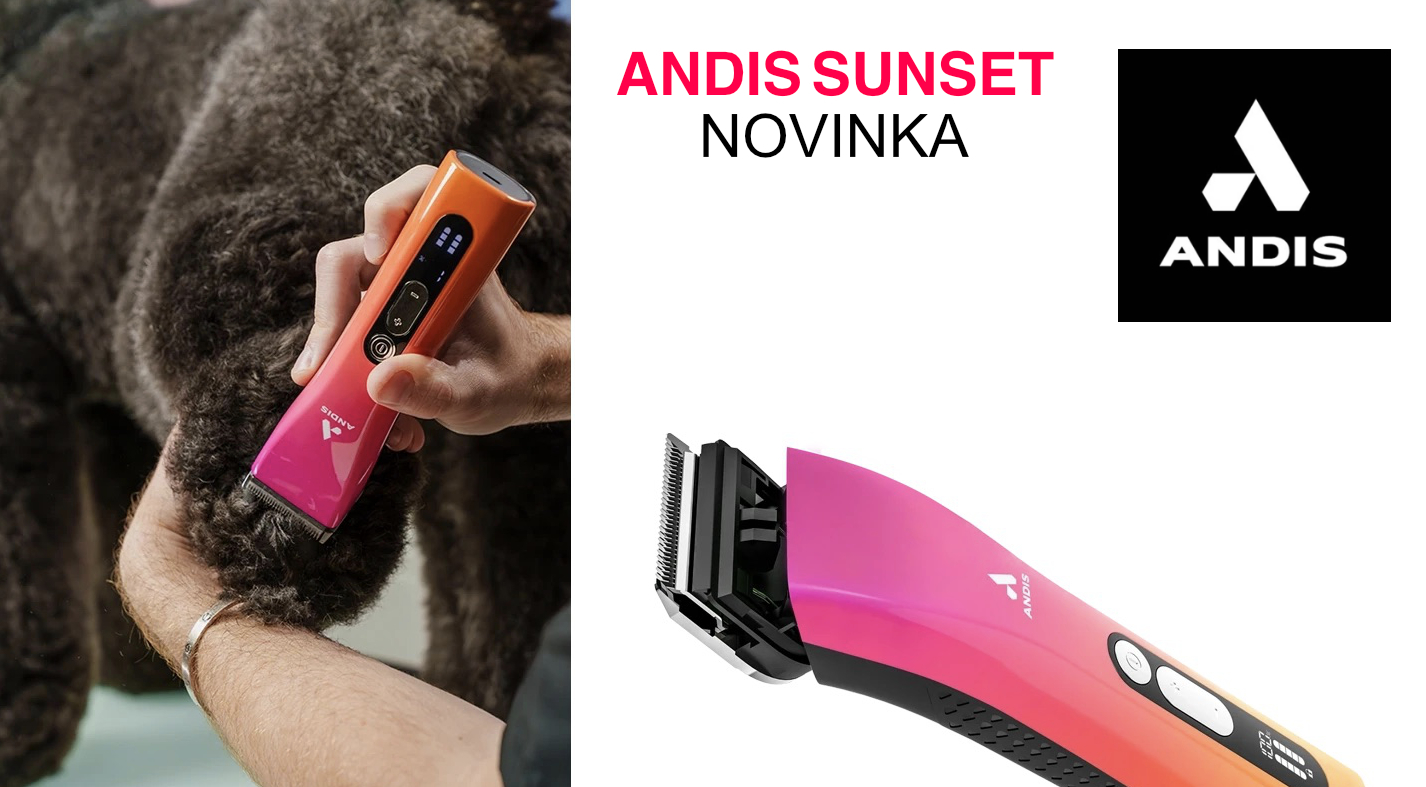 ANIDS SUNSET