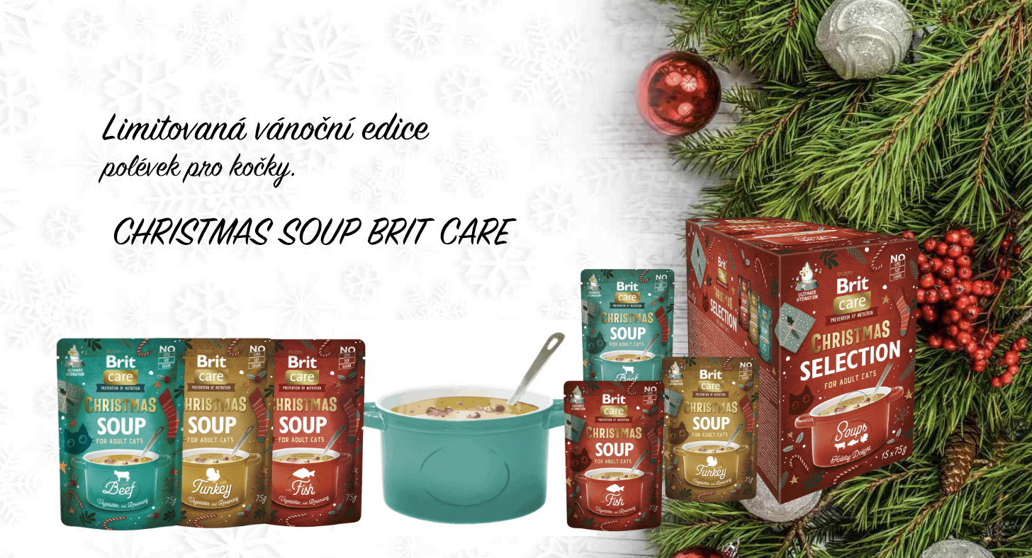 BRIT CARE CHRISTMAS SOUP