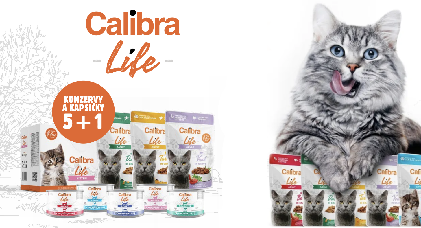 Calibra 5+1