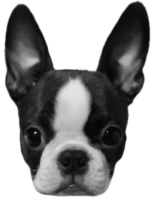 Věrnost se vyplácí