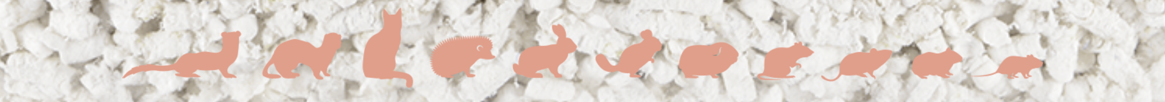 ASAN_CAT_PURE_10L_4