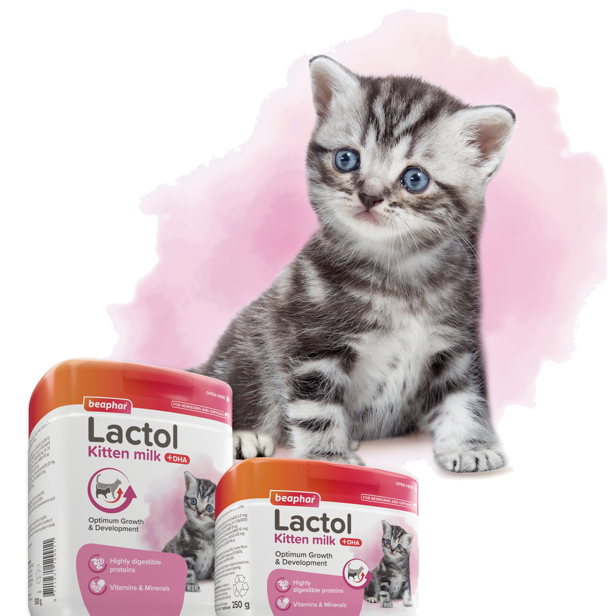 LACTOL_KITTY_MILK
