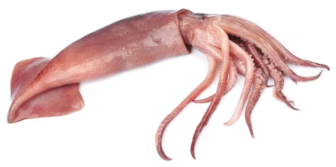 OLIHEŇ
