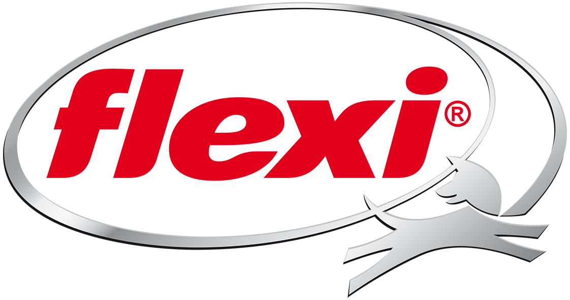 FLEXI_LOGO