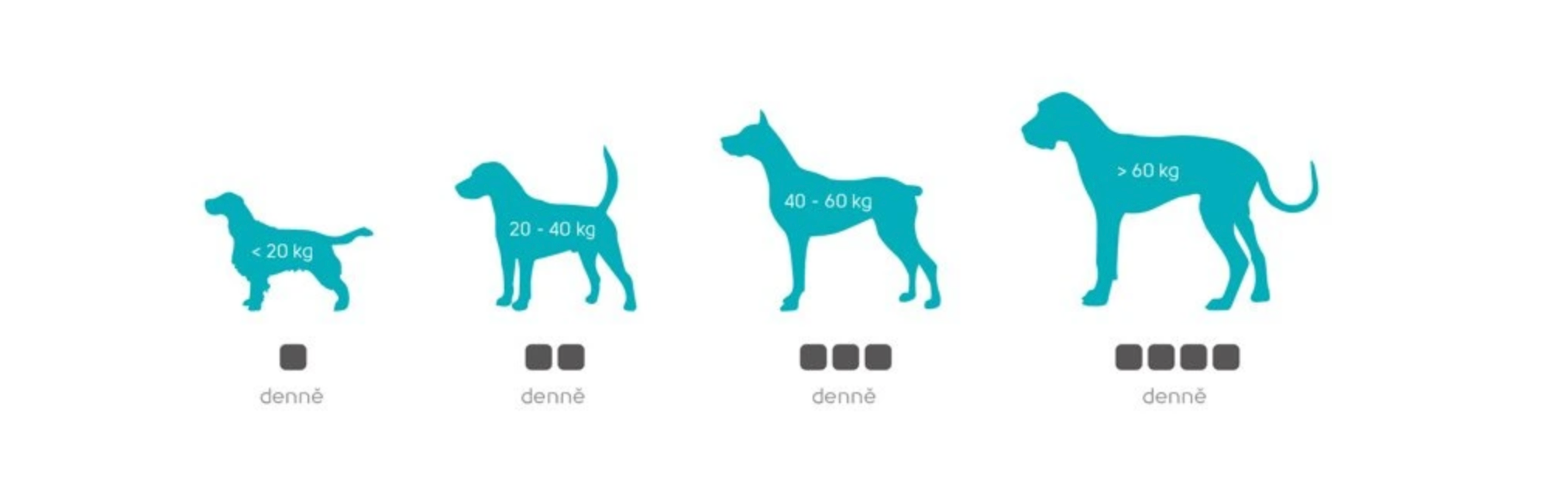 GELOREN_DOG