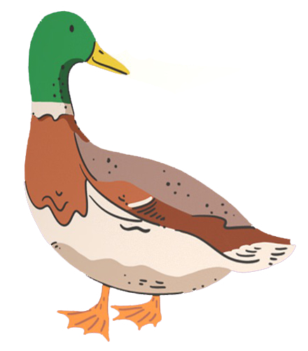 GPF_PATÉ_DUCK_85G_2