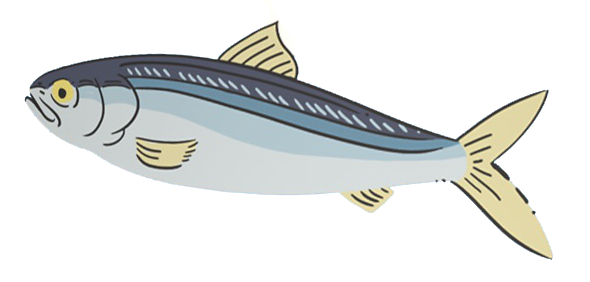 GPF_PATÉ_HERRING_85G_2