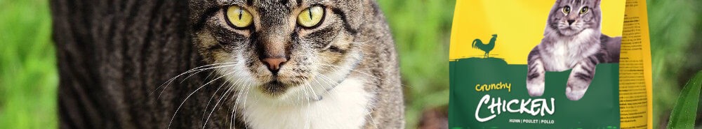 JOSICAT_CRUNCHY_CHICKEN