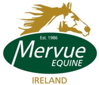 MERVUE_LOGO