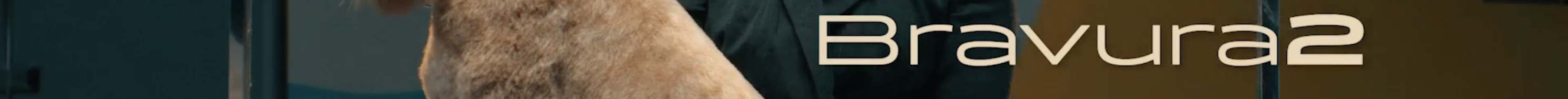 WAHL_3028121_BRAVURA_6