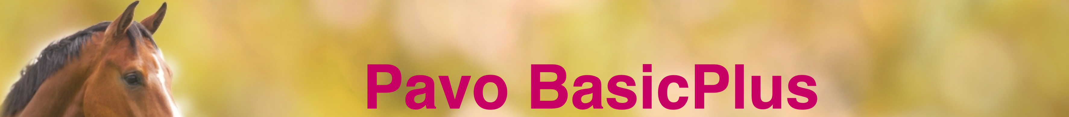 PAVO_BASICPLUS20KG_1