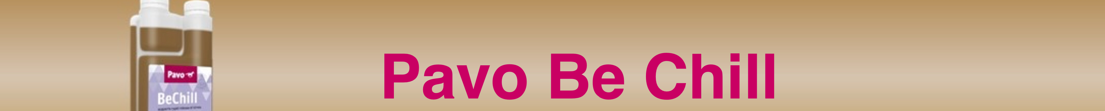 PAVO_BECHILL_1L_1