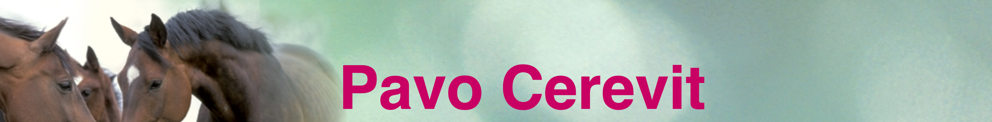PAVO_CEREVIT_15KG_1