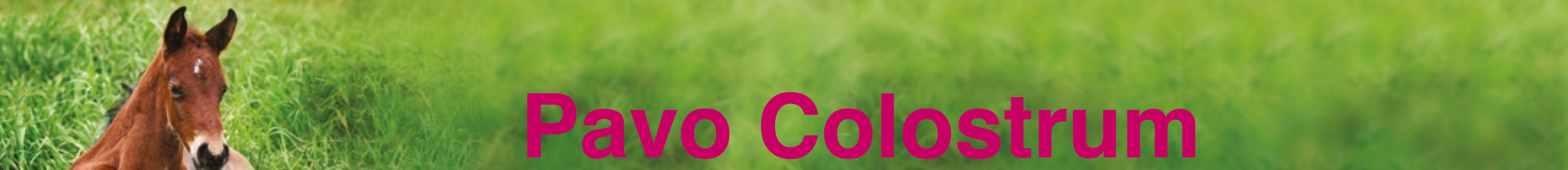 PAVO_COLOSTRUM_150G_1