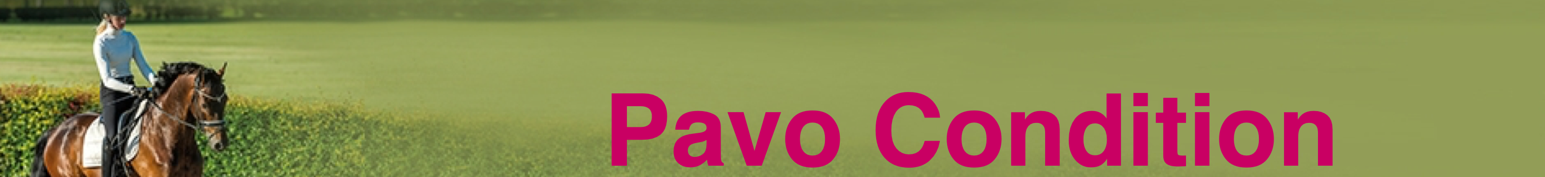 PAVO_CONDITION_20KG_3
