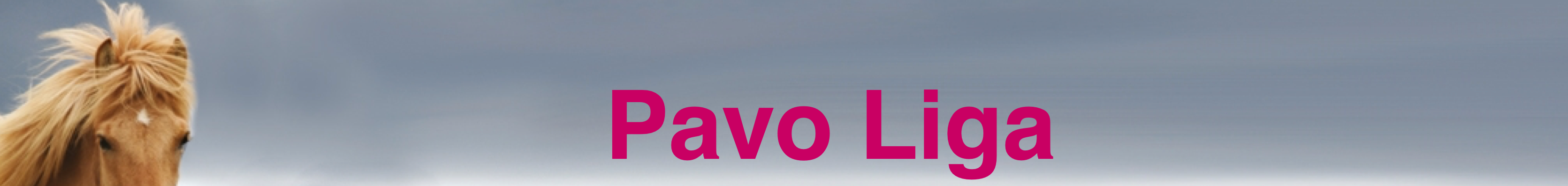 PAVO_LIGA_20KG_1