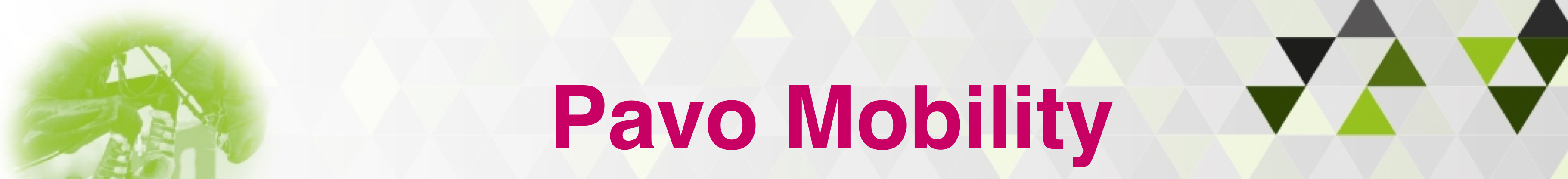 PAVO_MOBILITY_3KG_1