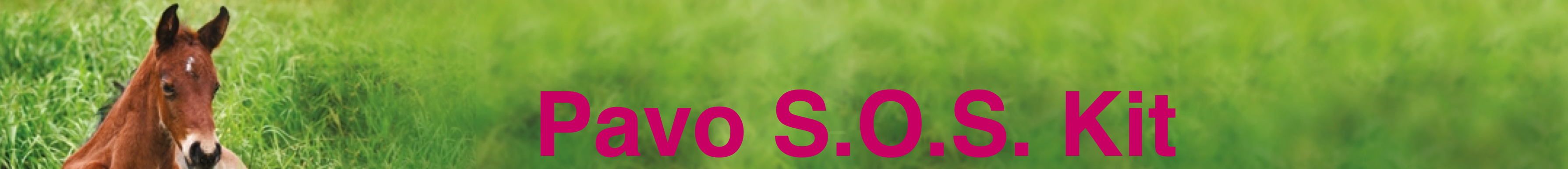 PAVO_S.O.S._KIT_1