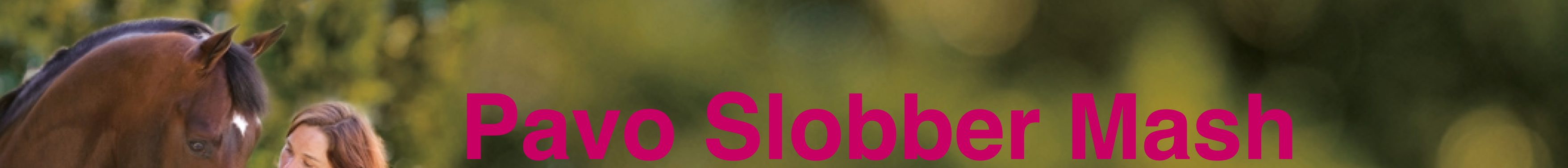 PAVO_SLOBBERMASH_15KG_4