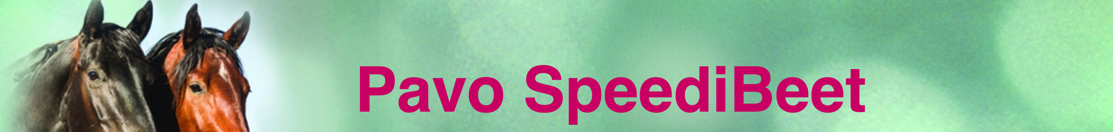 PAVO_SPEEDIBEET_15KG_1