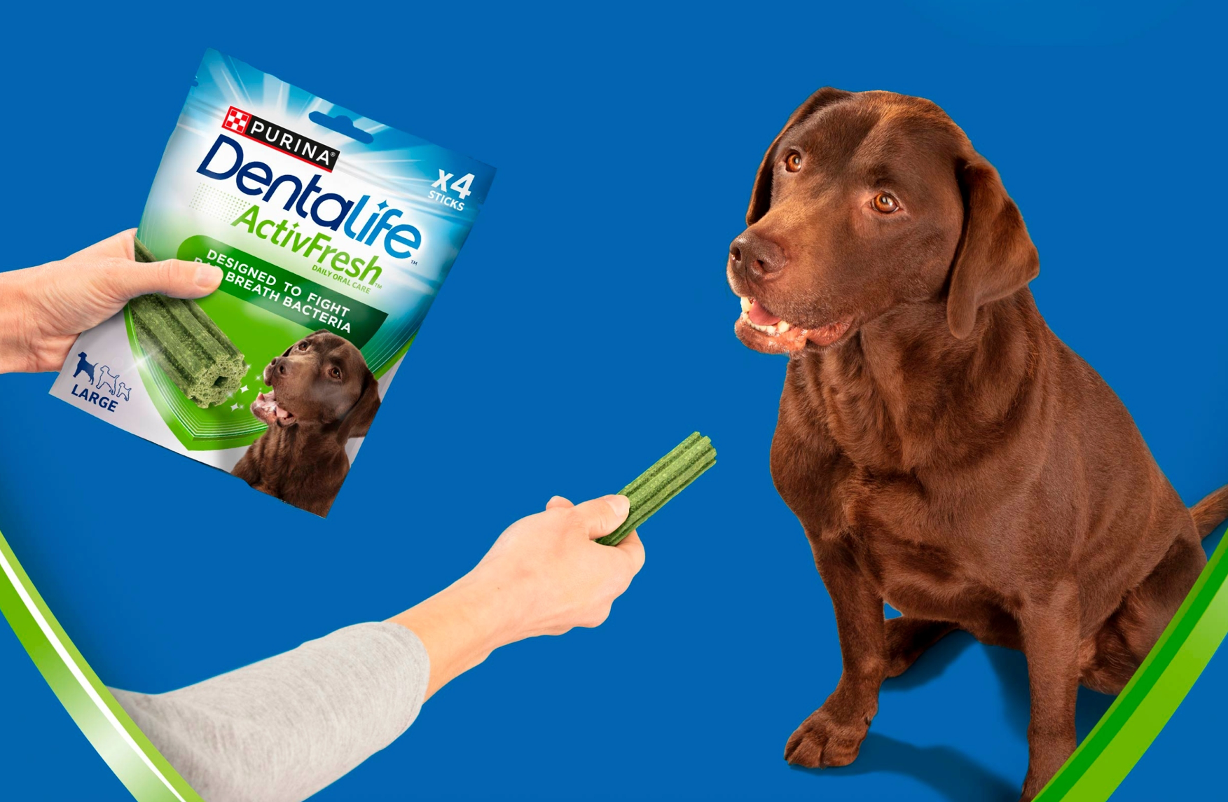PURINA_DENTALIFE_ACTIV_FRESH_L_1