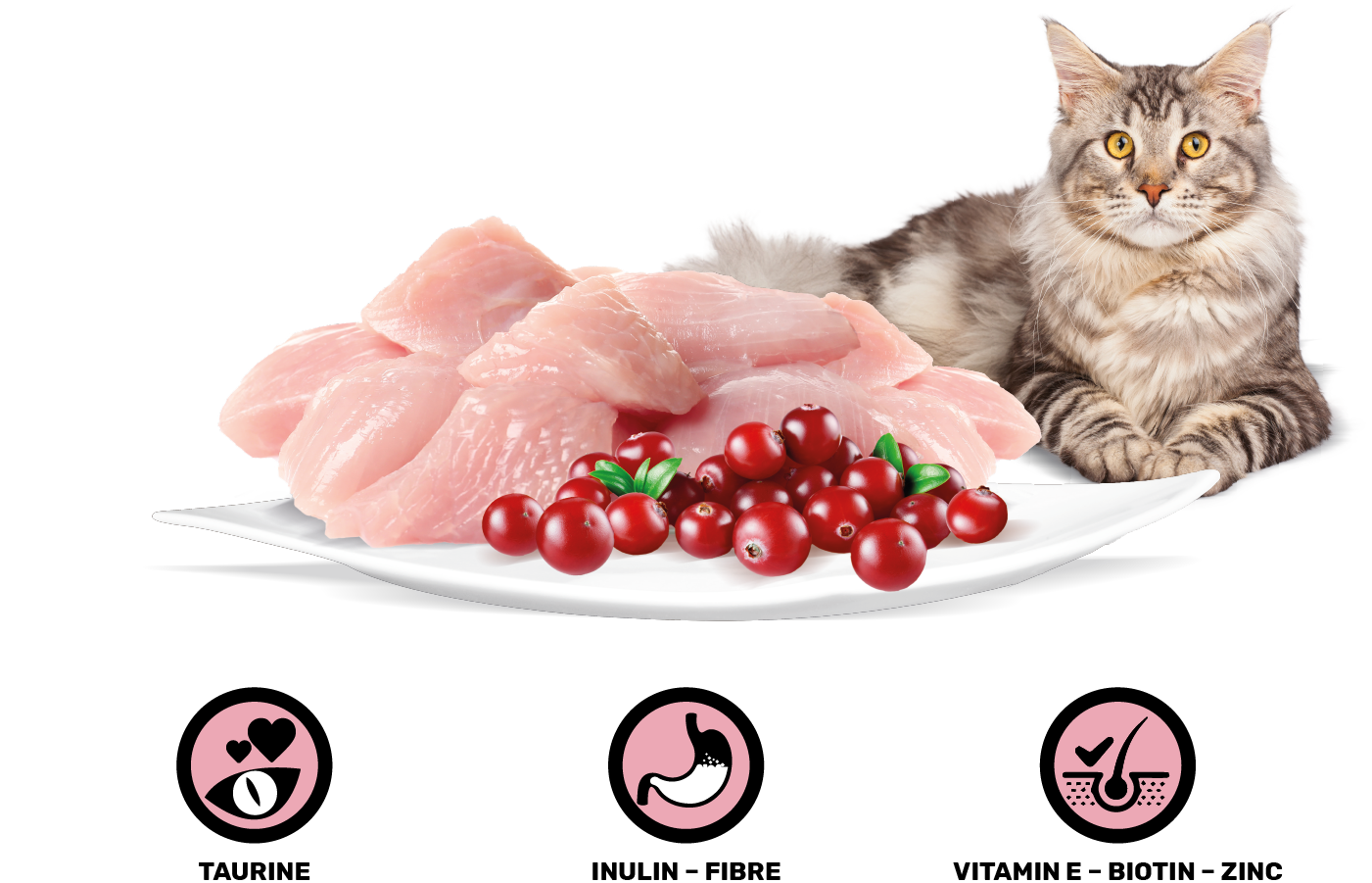 RASCO_TURKEY_85g_1