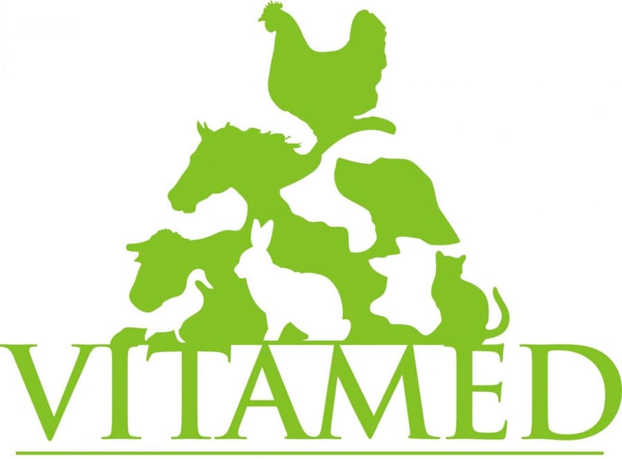 logo.notext.