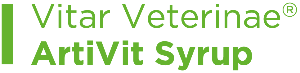 VITAR_ARTIVIT_200ML_SIRUP_2