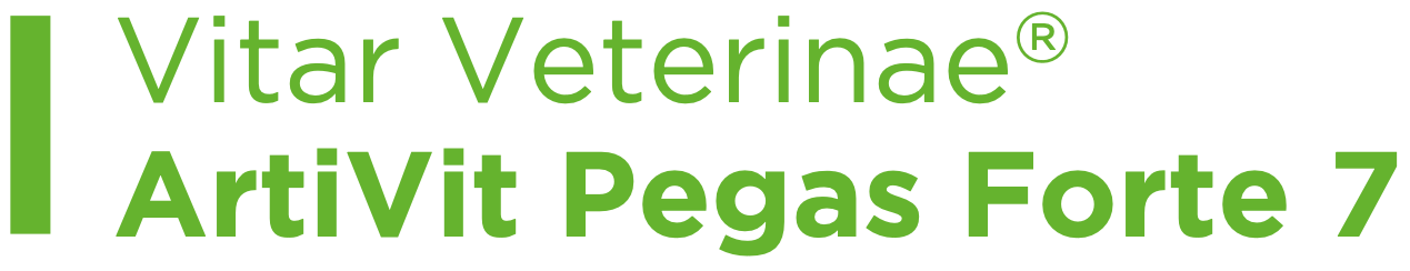 VV_PEGAS7_700G