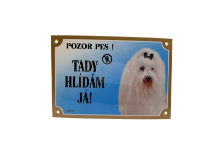 TADY HLÍDÁM JÁ! MALTÉZSKÝ PSÍK