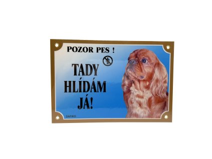 TADY HLÍDÁM JÁ! KAVALÍR KING CHARLES ŠPANĚL