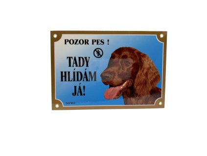 TADY HLÍDÁM JÁ! IRSKÝ SETR ČERVENÝ