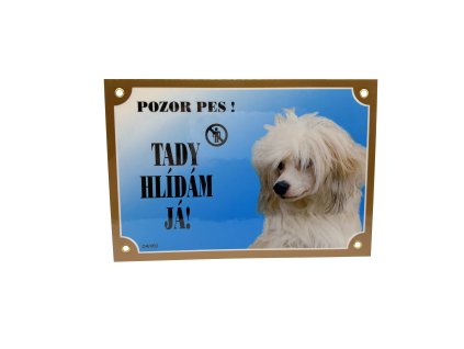 TADY HLÍDÁM JÁ! ČÍNSKÝ CHOCHOLATÝ PES