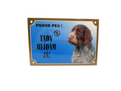 TADY HLÍDÁM JÁ! ČESKÝ FOUSEK