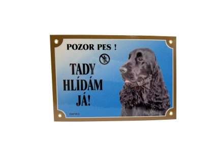 TADY HLÍDÁM JÁ! ANGLICKÝ KOKRŠPANĚL ČERNÝ