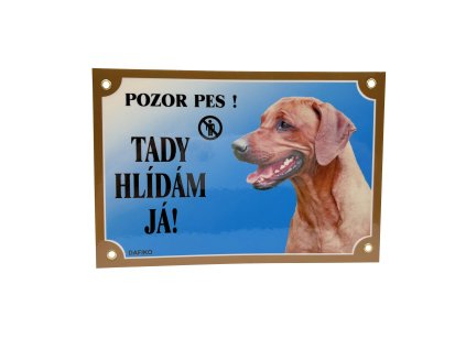TADY HLÍDÁM JÁ! RHODÉSKÝ RIDGEBACK
