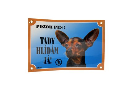 TADY HLÍDÁM JÁ! PRAŽSKÝ KRYSAŘÍK