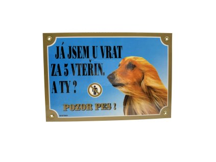 JÁ JSEM U VRAT ZA 5 VTEŘIN. A TY? AFGHÁNSKÝ CHRT