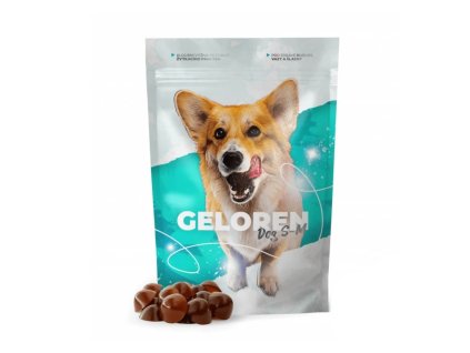 GELOREN DOG S M