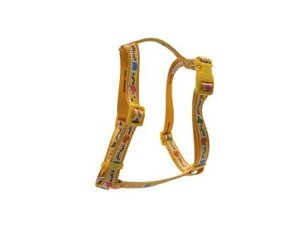 DOG SQUARE POSTROJ SANNY 70CM