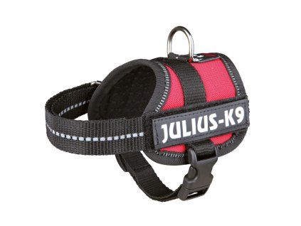 JULIUS K 9 BABY1 RED